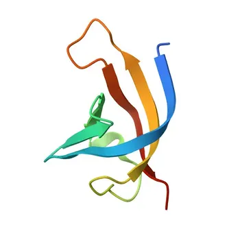 CCAR2/DBC1 Rabbit Polyclonal Antibody for WB, IHC-P, ELISA - Q8N163