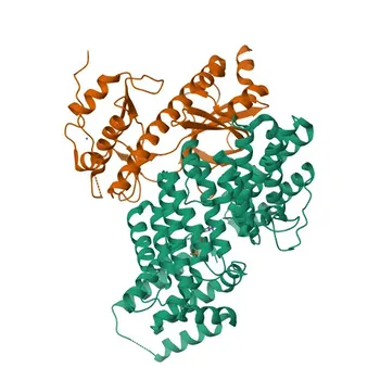 Anti-ALPK1 Rabbit Polyclonal Antibody for WB and ELISA - Q96QP1