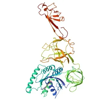 EEFSEC Rabbit pAb - P57772