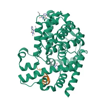 PDE6G Rabbit pAb for WB, IF/ICC, ELISA - P18545