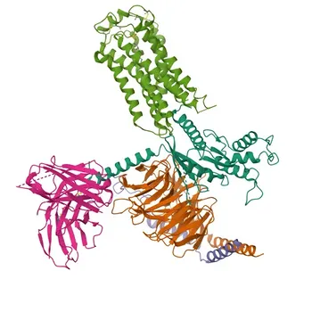 Anticorpo policlonale di coniglio anti-S1PR2 per WB ed ELISA - O95136