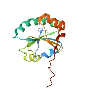 Anticorps Polyclonal de Lapin Anti-TMX1 pour WB, ELISA - Q9H3N1
