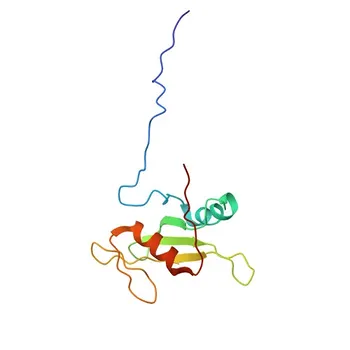 Anticorpo policlonale coniglio anti-STAP2 per WB, ELISA - Q9UGK3