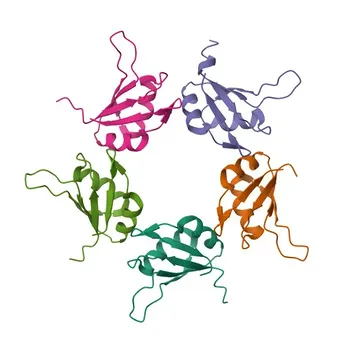 Anti-RBM7 Polyclonal Antibody for WB, ELISA - Q9Y580