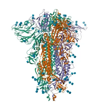 Anticorpo Policlonais Anti-Colágeno I/COL1A1 para WB, IHC-P, IF/ICC, ELISA - P02452