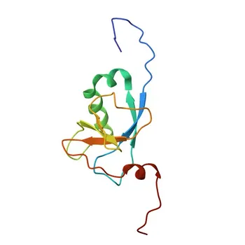 Anticorpo policlonale Anti-DCDC2 da coniglio per WB e ELISA - Q9UHG0