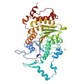 Anticorpo Monoclonal de Coelho Anti-Fosfo-HDAC4-S246 + HDAC5-S259 + HDAC9-S220 - P56524 / Q9UQL6 / Q9UKV0