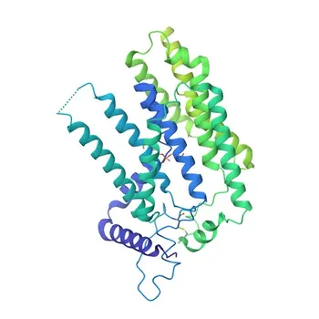 Anti-G6PC Rabbit Polyclonal Antibody for WB, ELISA - P35575