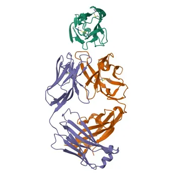Siglec-15 Coniglio pAb - Q6ZMC9