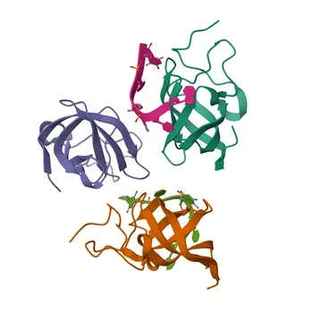 Anticorpo policlonale coniglio Anti-MSY2 per WB ed ELISA - Q9Y2T7