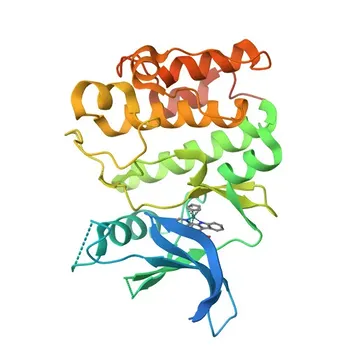 Anti-PIM2 Rabbit Polyclonal Antibody for WB, ELISA - Q9P1W9