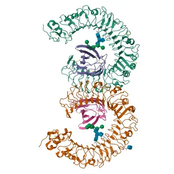 Anti-LY86 Rabbit Polyclonal Antibody for WB, ELISA - O95711
