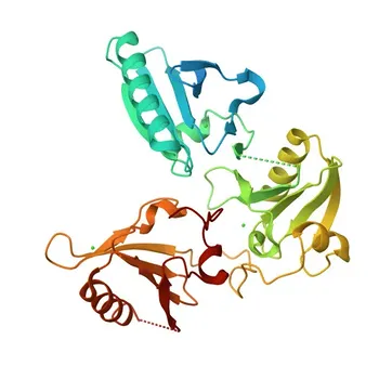 Anti-SCIN Rabbit Polyclonal Antibody for WB, IF/ICC, ELISA - Q9Y6U3