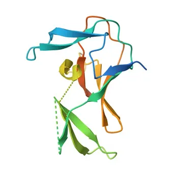 Anti-PRDM12 Polyclonal Antibody for WB, ELISA - Q9H4Q4
