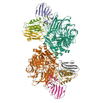 NLRP1 Rabbit pAb per WB, IHC-P, IF/ICC, ELISA - Q9C000