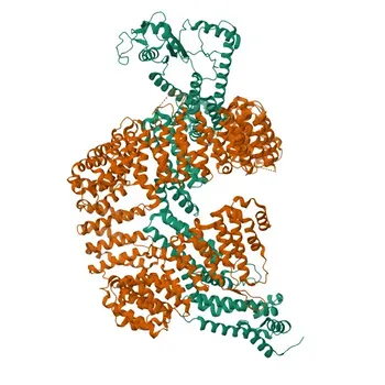 Anticorpo policlonale di coniglio anti-CAND2 per WB, IHC-P, ELISA - O75155