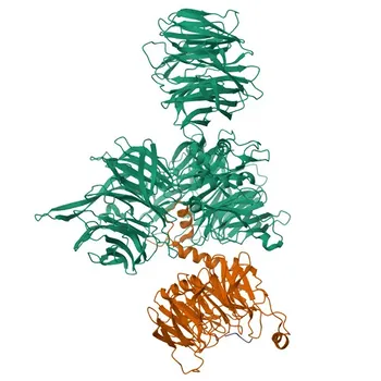 Anticorpo Policlonale Anti-DCAF12 per WB ed ELISA - Q5T6F0