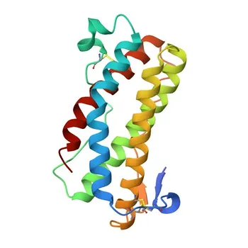 Anti-LIF Rabbit Polyclonal Antibody for WB, ELISA - P09056