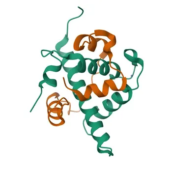 CITED2 Rabbit Polyclonal Antibody for WB and ELISA - Q99967