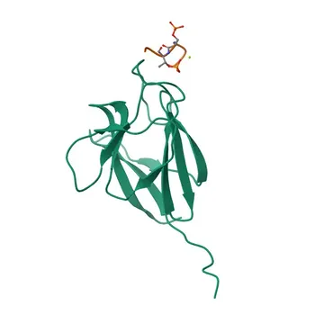 Anti-APLF Rabbit Polyclonal Antibody for WB, ELISA - Q8IW19
