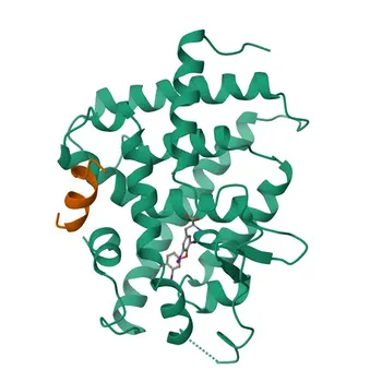 Anticorpo Policlonal Anti-TRβ1/THRB para WB, ELISA - P10828
