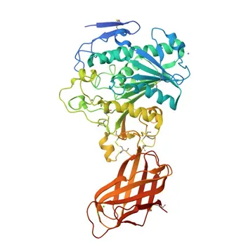 Anticorpo policlonal de coelho anti-PNLIPRP1 para WB, IF-P, IHC-P, ELISA - P54315