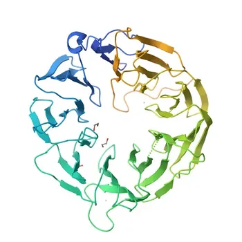 Anti-eIF2A Rabbit Polyclonal Antibody for WB, ELISA - Q9BY44