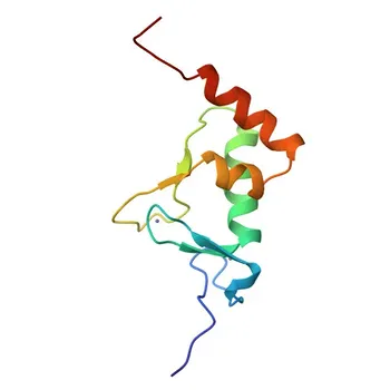 Anti-RNF144A Polyclonal Antibody for WB, ELISA - P50876