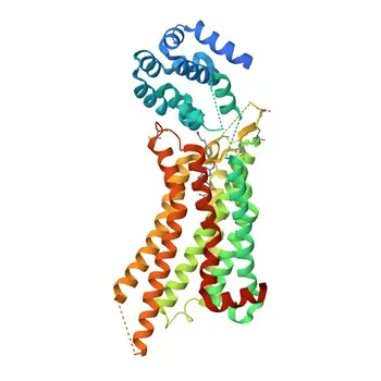 ADORA2A Rabbit pAb - P29274