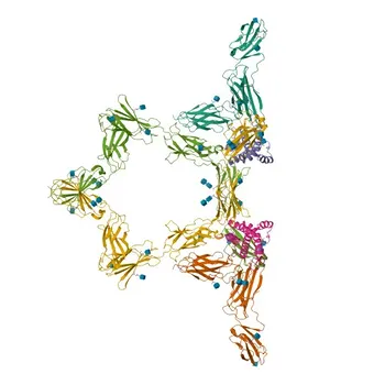 Anti-IL6ST Rabbit Polyclonal Antibody for WB, IF/ICC, ELISA - P40189