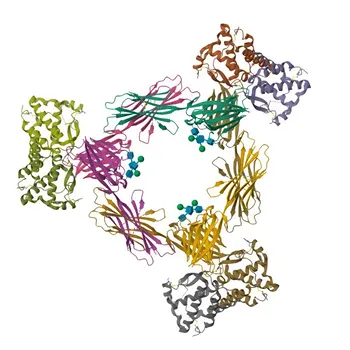 Anti-CSF1 Rabbit Polyclonal Antibody for WB and ELISA - P09603