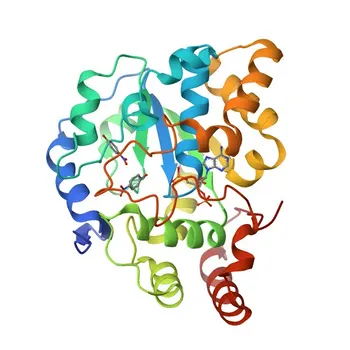 Anticorpo policlonale di coniglio anti-SULT1A1 per WB ed ELISA - P50225