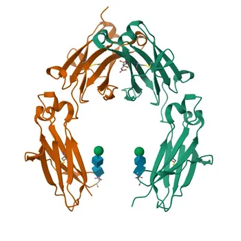 Anti-Human IgG3 Polyclonal Antibody for WB and ELISA - P01860