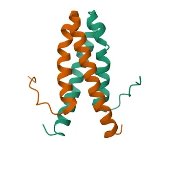 Anti-CDK2AP1 Rabbit Polyclonal Antibody for WB, ELISA - O14519