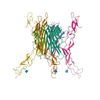 Anti-TNFRSF11B Polyclonal Antibody for WB, IF-P, IHC-P, ELISA - O00300