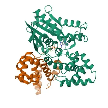 Anticorpo Policlonale Anti-RGS2 per WB, IHC-P, ELISA - P41220