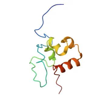 Anti-ABLIM3 Polyclonal Antibody for WB and ELISA - O94929