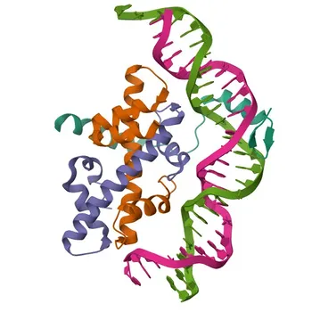 Anti-Hd1 Polyclonal Antibody for WB and ELISA - Q9FDX8