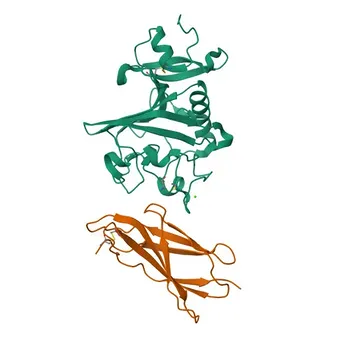 Anti-Tenascin C Polyclonal Antibody for WB - P24821