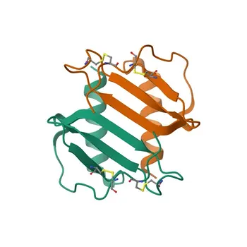 Anticorpo Policlonado de Coelho Anti-IL8 para WB, ELISA - P10145