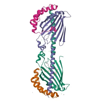 Anticorpo policlonale Anti-PRELID1 per IHC-P, IF/ICC, ELISA - Q9Y255