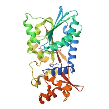 Anti-HNMT Polyclonal Antibody for WB, IF/ICC, IP, ELISA - P50135
