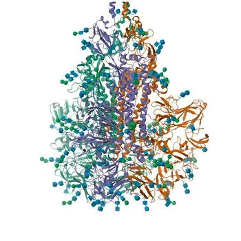Anti-HCoV-NL63 Spike S2 Polyclonal Antibody for WB, ELISA - Q6Q1S2