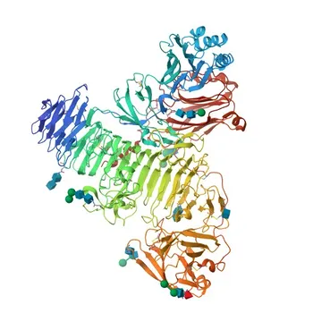 Anti-TMEM2 Rabbit Polyclonal Antibody for WB and ELISA - Q9UHN6
