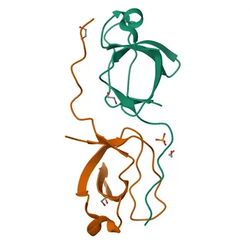 Anti-MAP3K11 Rabbit Polyclonal Antibody for WB, ELISA - Q16584