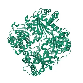 Anti-BNP Polyclonal Antibody for WB, IF, IHC, ELISA - P16860
