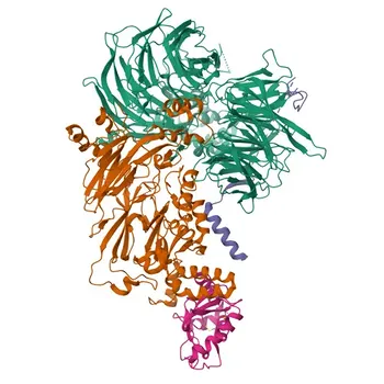 Anticorpo policlonale Anti-UBE2E2 per WB, ELISA - Q96LR5