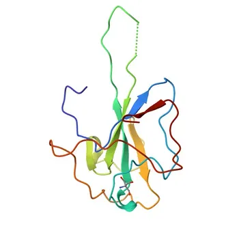 Anticorpo policlonale anti-Nucleoproteina HCoV-OC43 per WB, ELISA - P33469
