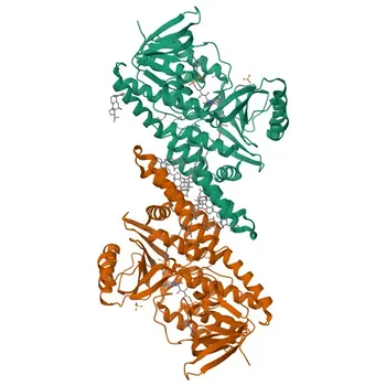 Anti-SQLE Polyclonal Antibody for WB, IHC-P, IF/ICC, ELISA - Q14534