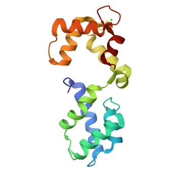 Anticorpo Policlonale Anti-CABP1 per WB, IHC-P, ELISA - Q9NZU7